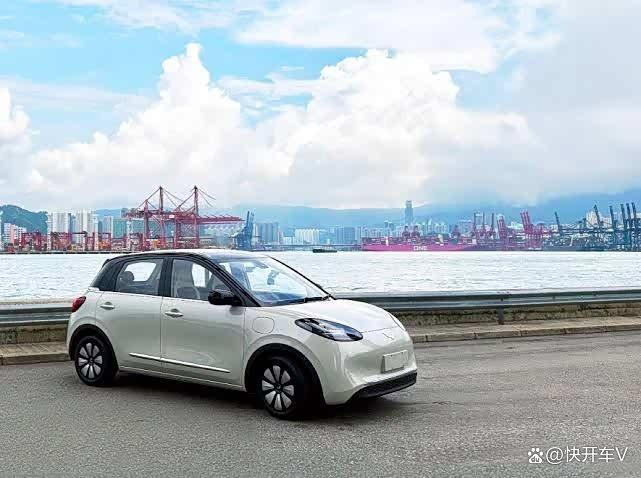 图：并列第十一名——五菱缤果（47.2%）。