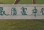 中超射手前10 ！6个都是1米9+大中锋 1米83申花9号还能排第一