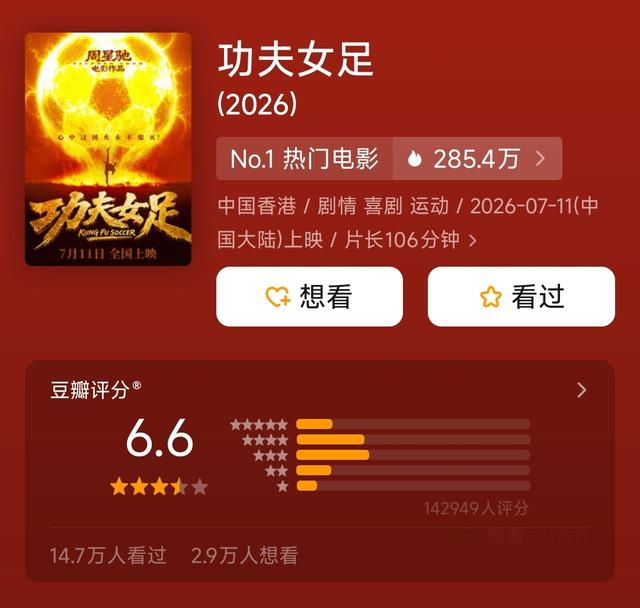 电影《功夫女足》开分6.6。图源豆瓣