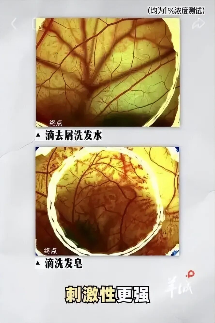图源：羊城晚报