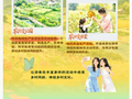 理响中国·一笔一画｜因地制宜，推动乡村旅游提档升级