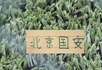 北京国安全华班 足协杯晋级！各项赛事已经六轮不败