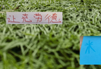 周末的上海德比！海港让克劳德 申花的米内罗 能赶上吗？