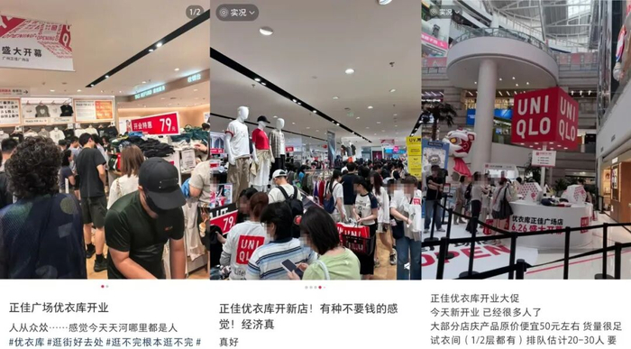 截图来源于小红书