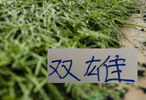 海港外援进球加起来没申花拉唐多！ 近两场比赛都是后卫进球