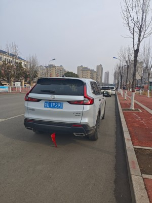 9图