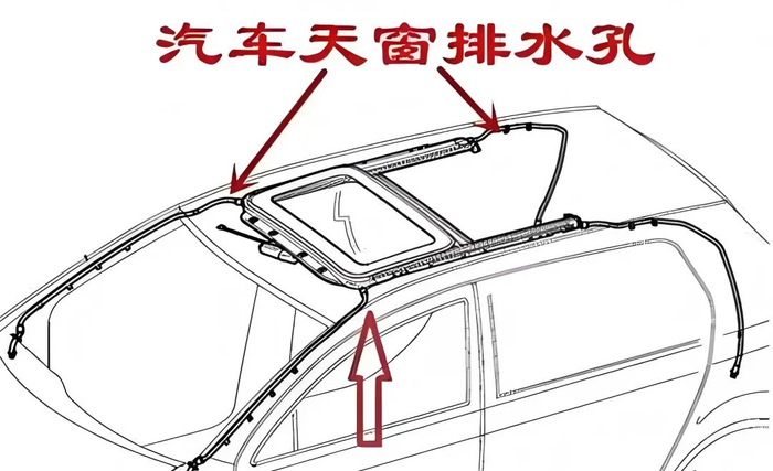※ 图片来源于网络，如有侵权请联系删除