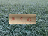 成都蓉城要轮换5人 北京国安多名主力来不了 双方教练明牌来打