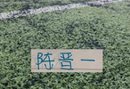 陈晋一也是高情商 边卫还是中卫 都会全力贯彻申花主帅技战术安排