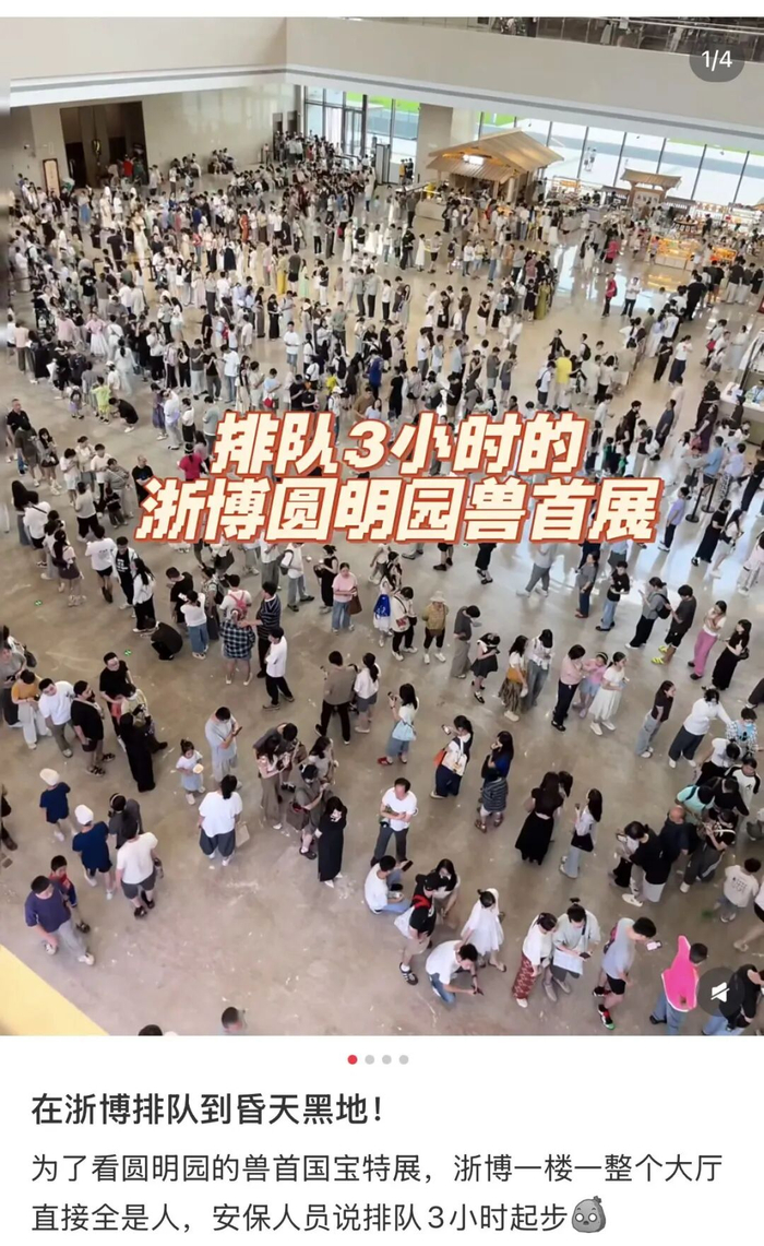 网友拍摄现场排队画面