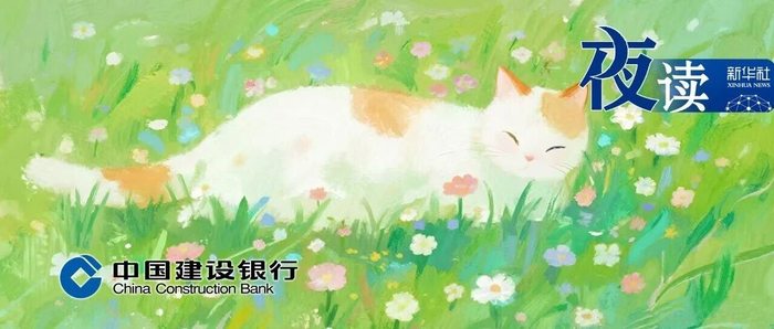 夜读丨30句后来才明白的话