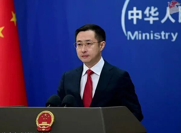 林剑 资料图 图源：外交部网站