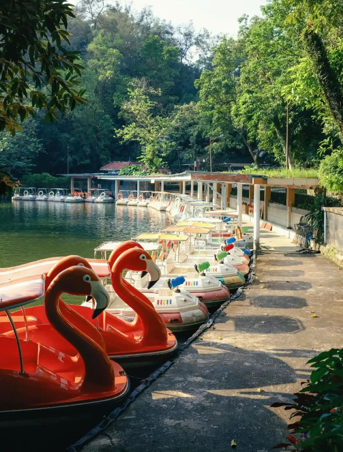 李现镜头里的越秀公园
