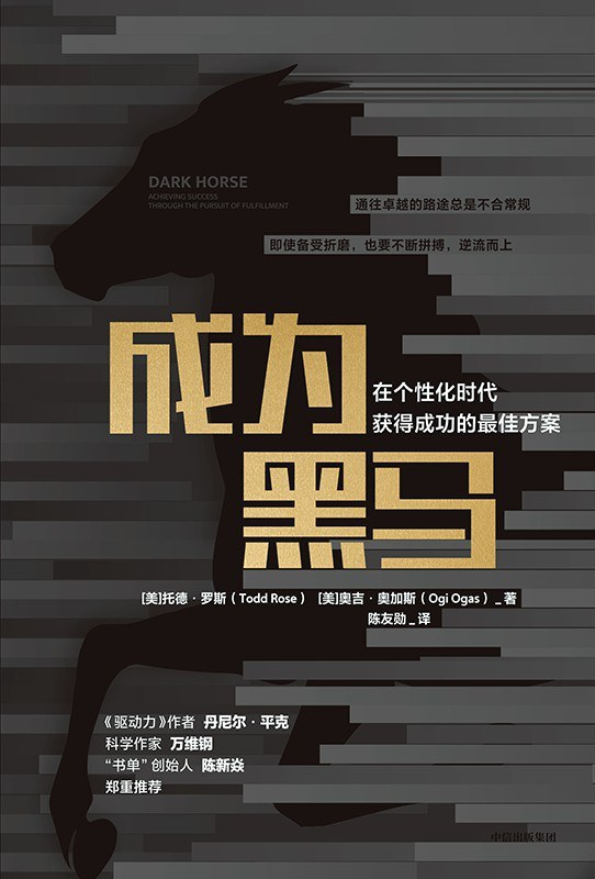 《成为黑马》书封