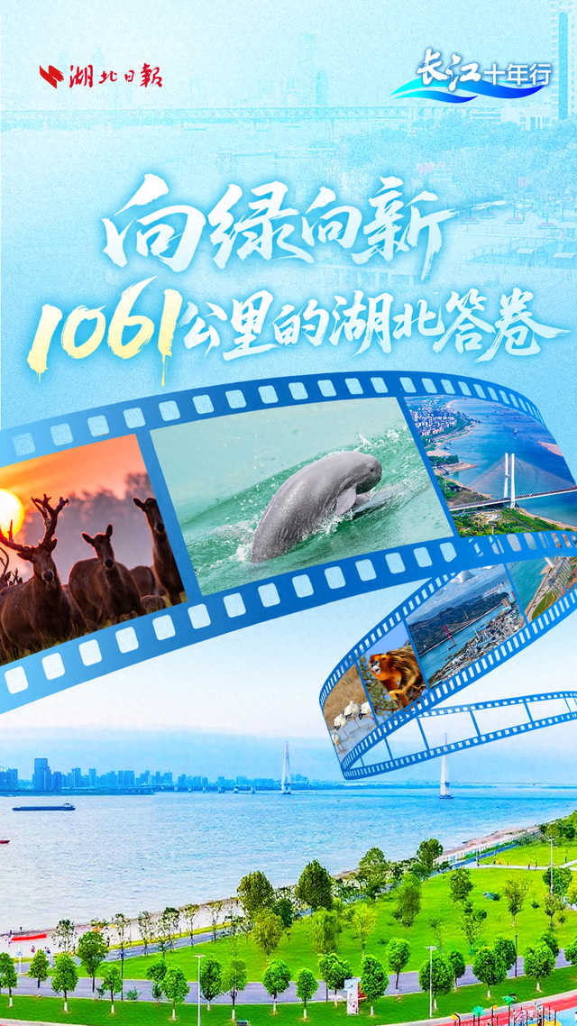 长江十年行｜向绿向新 1061公里的湖北答卷