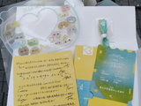 TF家族四代五公伴手礼具体包含哪些物品？