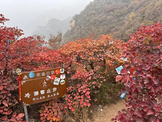 房山一处野山“止步”警示牌，贴满了户外徒步团标志。