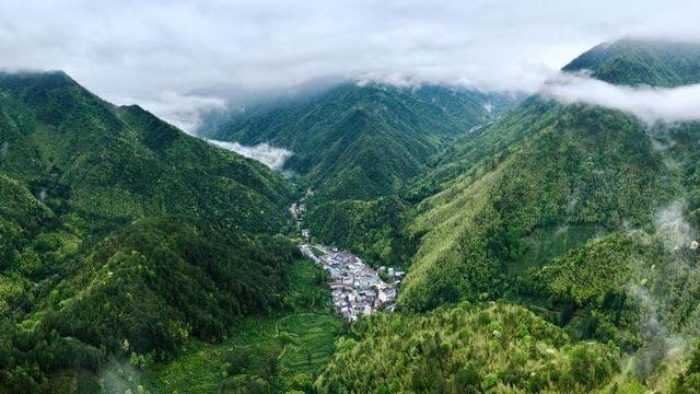 2026年5月8日拍摄的福建武夷山国家公园腹地桐木村一带景观（无人机照片）。新华社记者 姜克红 摄
