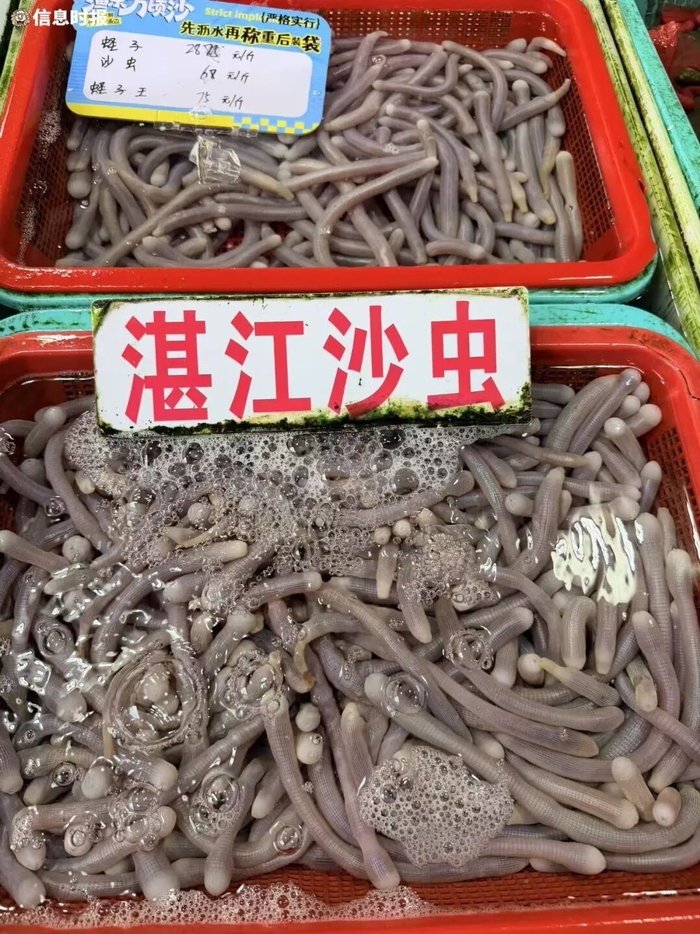 文/图：信息时报记者 崔小远