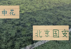 申花好消息：北京国安补赛有CCTV5直播