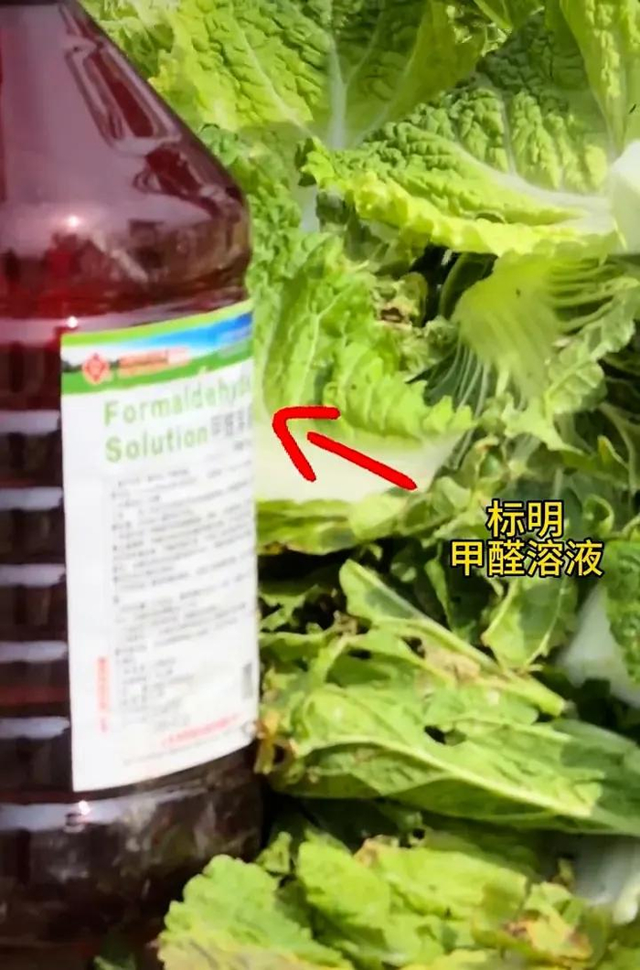 视频截图