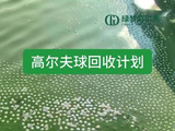 高尔夫球回收计划 #高尔夫 #高尔夫球 #golf