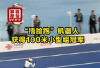 捂脸跑机器人获得100米小型组冠军