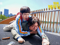 《囧徒之预演告别》定档8月31日，贾冰田嘉瑞开启荒诞旅途