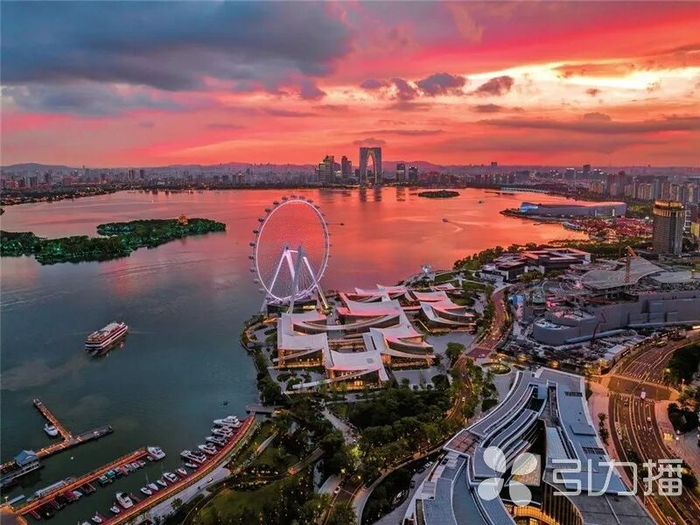 图片由苏州当代美术馆提供