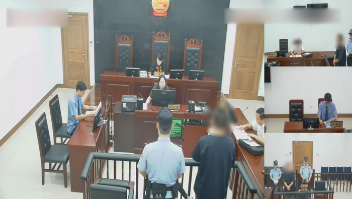 王某被认定构成拒不履行生效判决裁定罪，被判处有期徒刑六个月。大兴法院供图