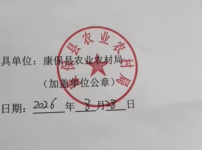 检验合格的蔬菜，康保县农业农村局签单放行 澎湃新闻记者&nbsp; 闫海龙 摄