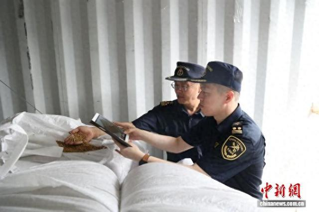 绥芬河海关对商品进行检查。 绥芬河市委宣传部供图