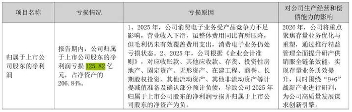图源：康佳2025年年度报告