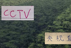 官方转播计划表！海港跟山东泰山一周有2次CCTV直播