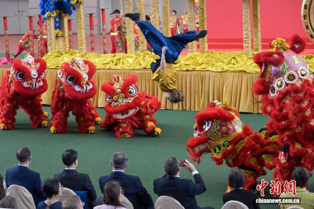 图为舞狮表演。中新网记者 陈永诺 摄 