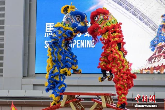 图为舞狮表演。中新网记者 陈永诺 摄 