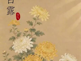 当白露遇上黄鹤楼