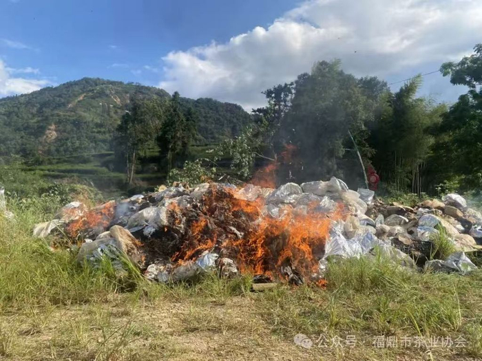 媒体：200万元“泡水茶”被销毁，为何网友点赞？