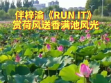 伴梓渝歌声赏荷风送香满池风光