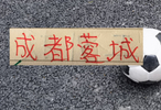 成都蓉城也是稳定厉害！连续3个赛季 都在50多分幅度范围