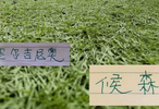 第18轮官榜！久违单轮最佳球员评选回来