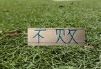 都是16场不败！是前任教练含金量高 还是蒙哥马利含金量高