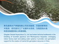 闪电海报丨工厂化循环水繁育名贵育苗