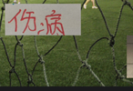 还剩下4场！北京国安 申花 山东都有大概率很难复出的球员