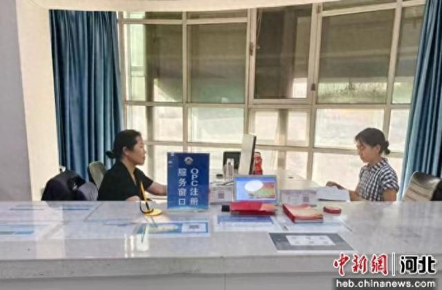 赵县政务服务大厅OPC注册服务窗口。 朱琳娜 摄
