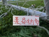 海港第一射手莱昂真自律！