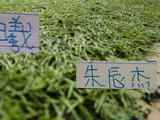 朱辰杰没有吃到黄牌！申花队长吴曦回应是否会出战明年的亚洲杯