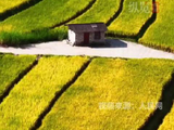聆听郝熠然需要人陪欣赏渐浓秋意
