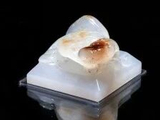 海昏侯墓考古，有新论断！