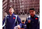 国乒男团到底输在哪儿